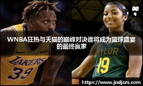 v66WNBA狂热与天猫的巅峰对决谁将成为篮球盛宴的最终赢家